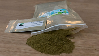 DEA Backpedals: Kratom Will Remain Legal, For Now